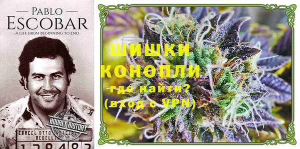 трава Абаза