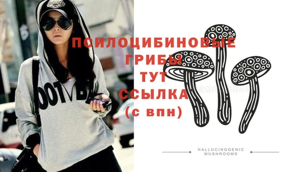 трава Абаза