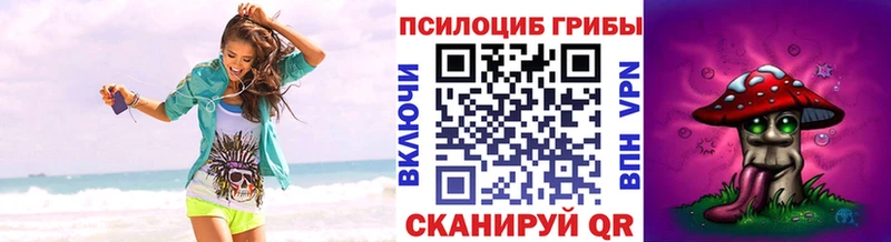 Псилоцибиновые грибы Psilocybine cubensis  MEGA маркетплейс  Цоци-Юрт  купить  цена 