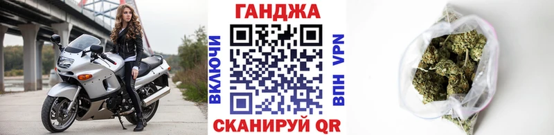 Канабис семена  Цоци-Юрт 